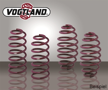 Vogtland Tieferlegungsfedern für Peugeot 407, SW, Break, 2.0 HDI, 2.2, VA über 1100 kg Bj.10.04