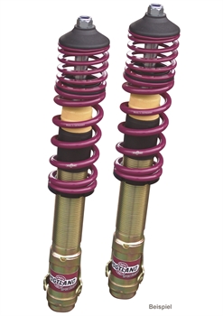 Preview: Vogtland Gewindefahrwerk für Ford Escort Typ GAL, AAL, ABL, AFL, ALL Bj.ab 2.95